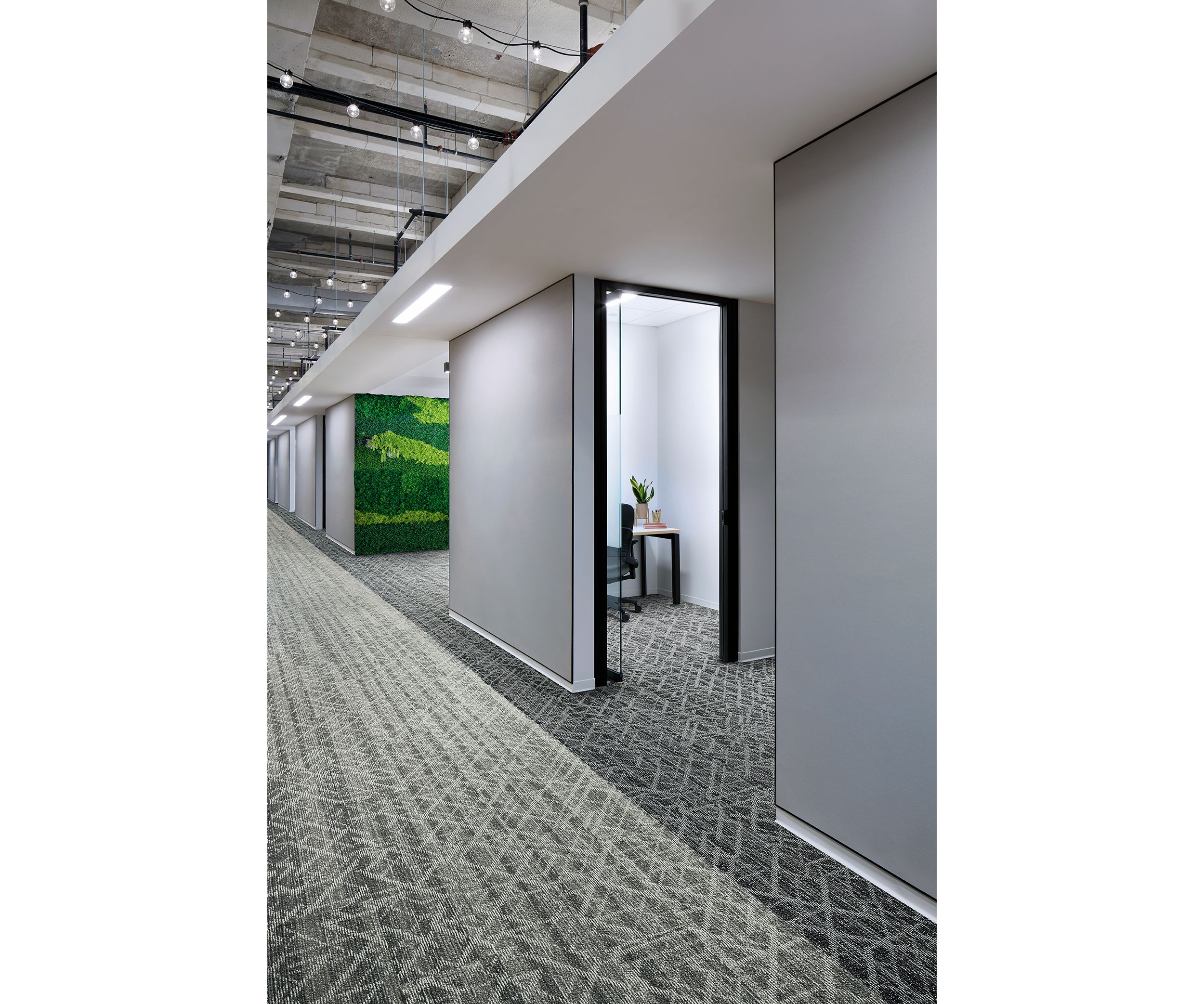 Interface Glisten plank carpet tile in office corridor and small meeting rooms with foliage wall imagen número 1